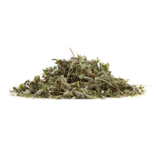 Damiana | Turnera aphrodisiaca