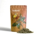Damiana | Turnera aphrodisiaca