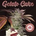 Gelato Cake (T.H.Seeds) Feminisoidut