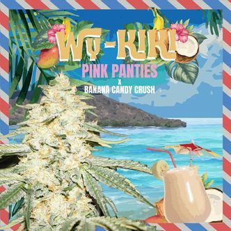 WY-KIKI (T.H.Seeds) feminisoidut