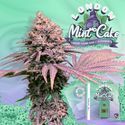 London Mint Cake (T.H.Seeds) Feminisoidut