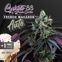 Auto French Macaron (T.H.Seeds) Feminisoidut