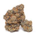 King Louis Garcia (Growers Choice) Feminisoidut