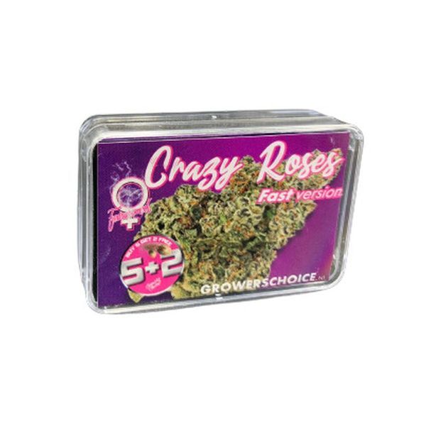 Crazy Roses Fast Version (Growers Choice) Feminisoidut
