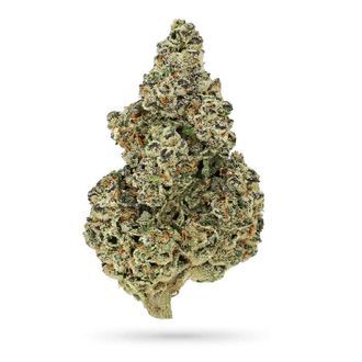 Crazy Roses Fast Version (Growers Choice) Feminisoidut