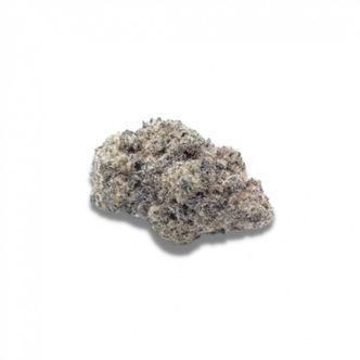 Cherry Zoap Autoflower (Growers Choice) feminisoidut