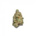 Apple Fritter Autoflower (Growers Choice) Feminisoidut