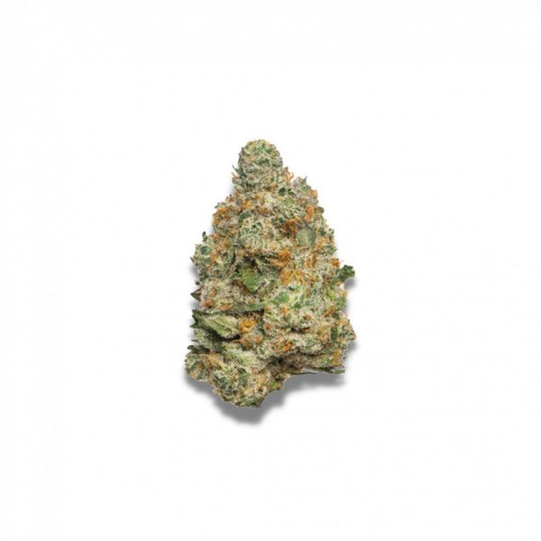 Apple Fritter Autoflower (Growers Choice) Feminisoidut
