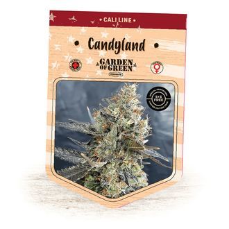 Candyland (Garden of Green) Feminisoidut