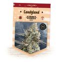 Candyland (Garden of Green) Feminisoidut