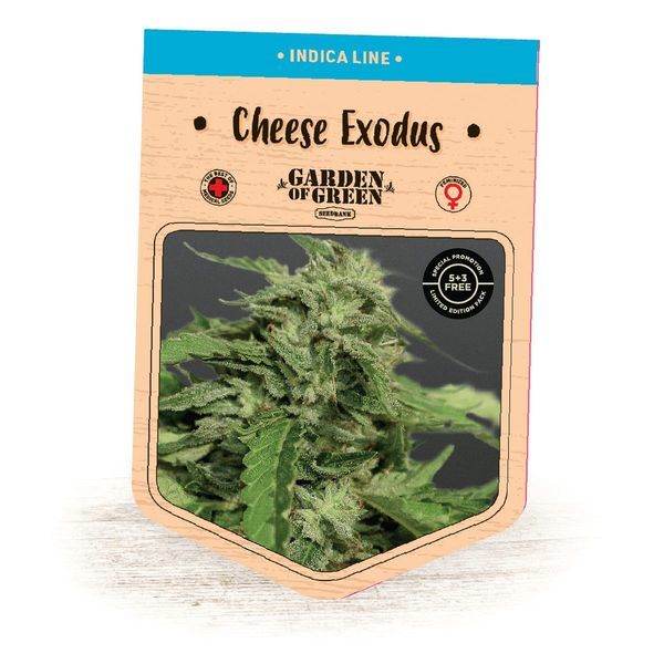 Cheese Exodus (Garden of Green) Feminisoidut