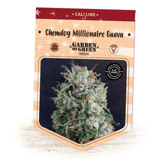 Chemdog Millionaire Guava (Garden of Green) feminisoitu