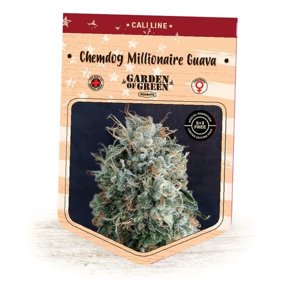 Chemdog Millionaire Guava (Garden of Green) Feminisoidut