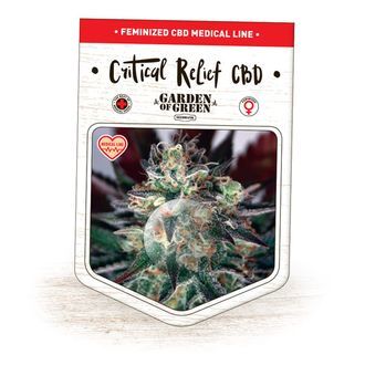 Critical Relief CBD (Garden of Green) Feminisoidut