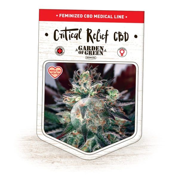 Critical Relief CBD (Garden of Green) Feminisoidut