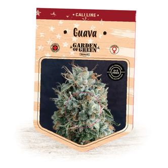 Guava (Garden of Green) feminisoidut