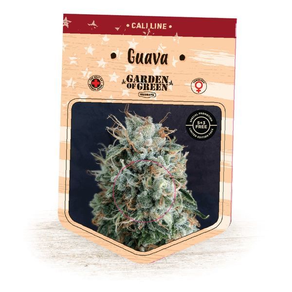 Guava (Garden of Green) Feminisoidut