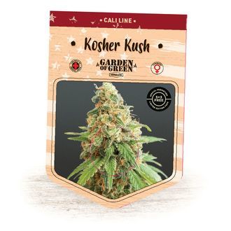 Kosher Kush (Garden of Green) Feminisoidut