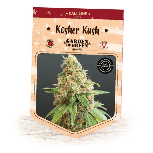 Kosher Kush (Garden of Green) Feminisoidut
