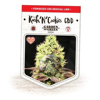 Kush'N'Cookies CBD (Garden of Green) feminisoidut kannabiksen siemenet