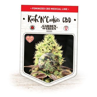 Kush'N'Cookies CBD (Garden of Green) Feminisoidut