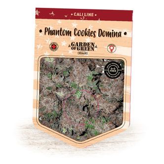 Phantom Cookies Domina (Garden of Green) feminisoidut kannabiksen siemenet
