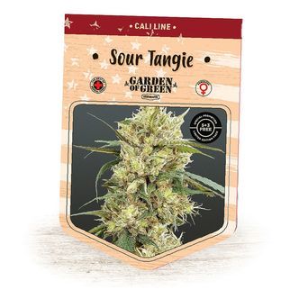 Sour Tangie (Garden of Green) feminisoidut kannabiksen siemenet