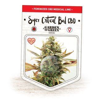 Super Critical Bud CBD (Garden of Green) Feminisoidut