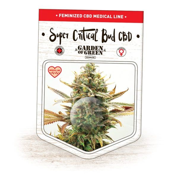 Super Critical Bud CBD (Garden of Green) Feminisoidut