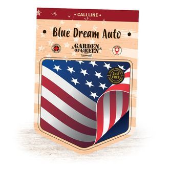 Blue Dream Auto (Garden of Green) feminisoitu