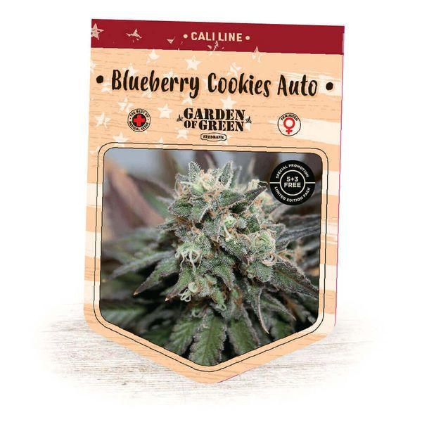 Blueberry Cookies Auto (Garden of Green) Feminisoidut