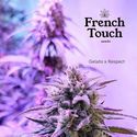 Respeto (French Touch Seeds) Feminisoidut