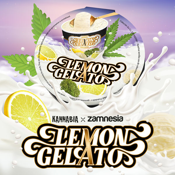 Lemon Gelato (Kannabia x Zamnesia) Feminisoidut