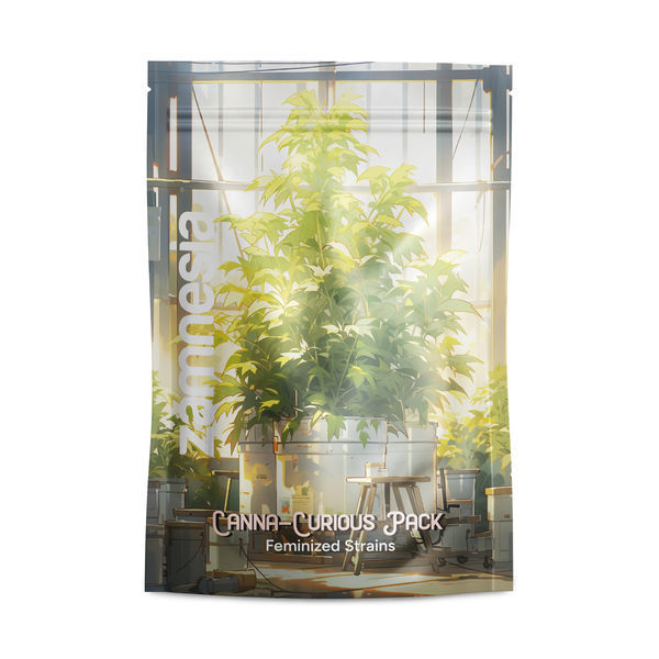 Canna-Curious Pack – Feminisoidut lajikkeet
