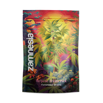 Terpeeni Dream Pack - Feminisoidut lajikkeet