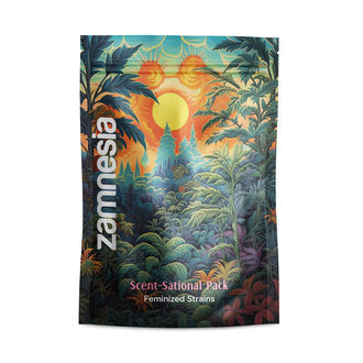 Scent-Sational Pack &ndash; Feminisoidut lajikkeet