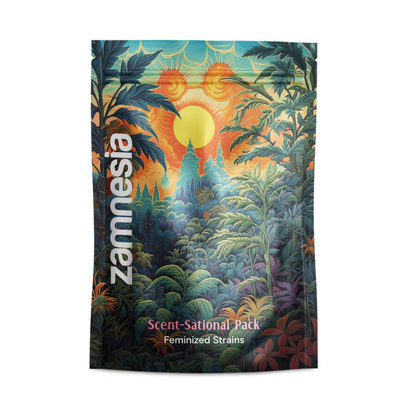 Scent-Sational Pack – Feminisoidut lajikkeet