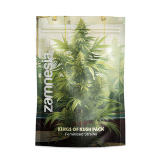Kings of Kush -pakkaus &ndash; Feminisoidut lajikkeet