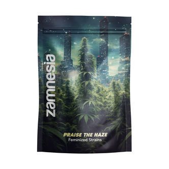 Ylist&auml; haze -paketti &ndash; feminisoidut lajikkeet