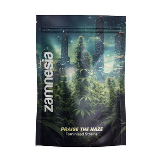 Ylist&auml; haze -paketti &ndash; Feminisoidut lajikkeet
