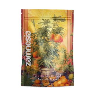 Terpeeni Dream Pack - Autoflower-lajikkeet
