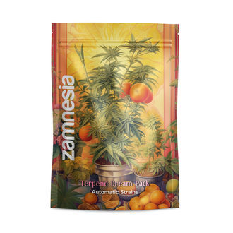 Terpene Dream Pack - Autoflower-lajikkeet