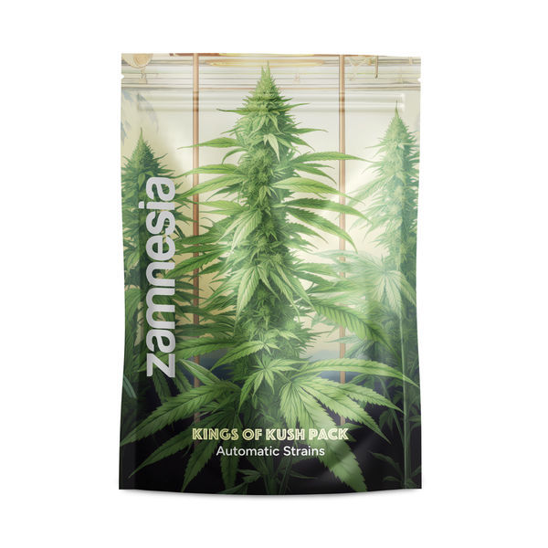 Kings of Kush -paketti – Autoflower-lajikkeet
