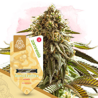 Super THC -paketti – Autoflower-lajikkeet