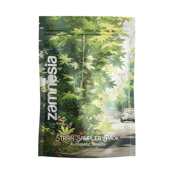 Lajikenäytepakkaus – Autoflower