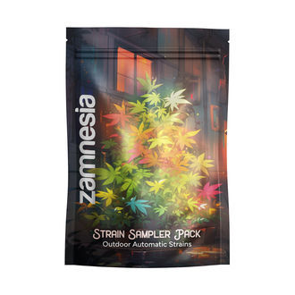 Lajike-samplepaketti &ndash; ulkokasvatukseen sopivat Autoflower-siemenet