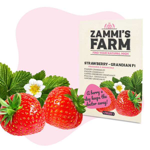 Hedelmien siemenpaketti – Zammi’s Farm
