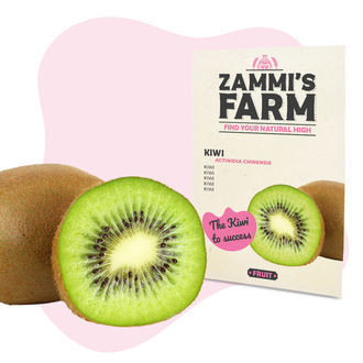 Hedelmien siemenpaketti – Zammi’s Farm