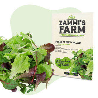 Vihannessiemenpakkaus – Zammin tila