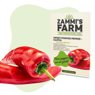 Vihannessiemenpakkaus – Zammin tila